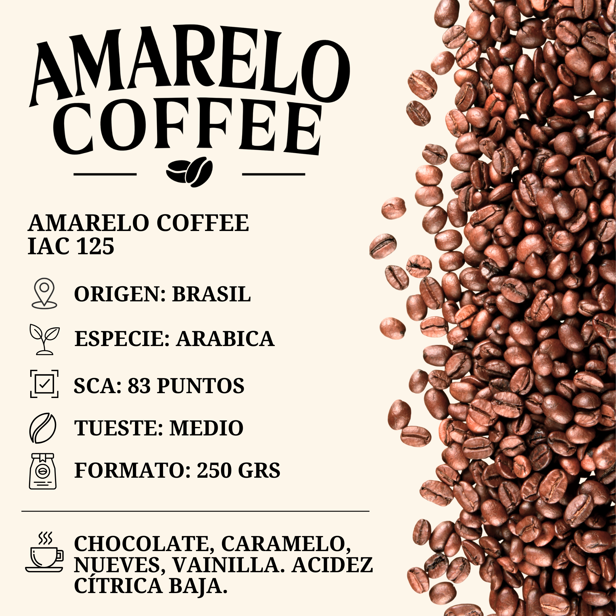 Amarelo Coffee IAC 125 / 250 gramos (grano)